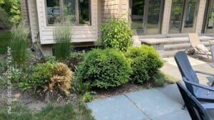 Local Fort Wayne backyard patio with stone pavers, shrubs, and spring mulch landscaping before.
