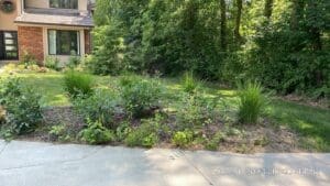 Before spring mulch landscaping cleanup at Fort Wayne local suburban home garden bed.