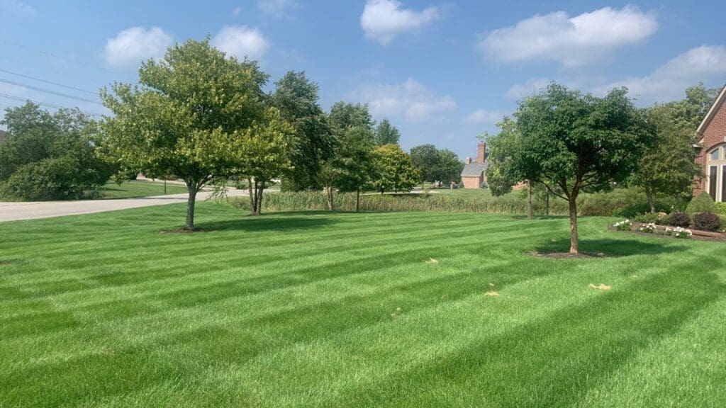 Fort Wayne manicured striped lawn after mowing, lush green grass, trees, and brick home.