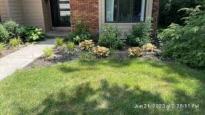 Local Fort Wayne front yard with fresh mulch bed, shrubs, and neatly mowed lawn.