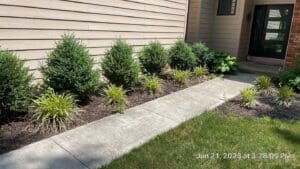 Local Fort Wayne home landscaping bed with fresh mulch, shrubs, and clean concrete walkway.