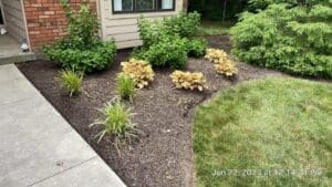 Local Fort Wayne spring cleanup before photo of mulched garden bed by house walkway.