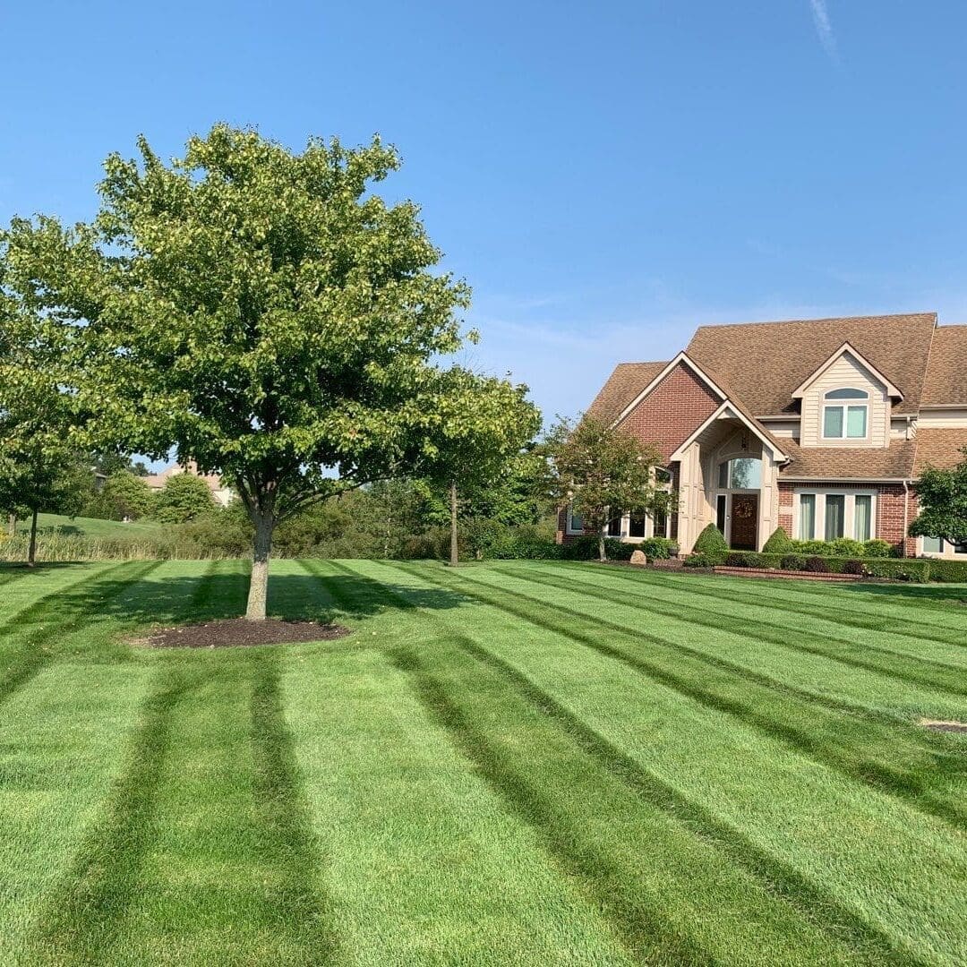 Striped, freshly mowed Fort Wayne lawn with mature tree in front of brick home.