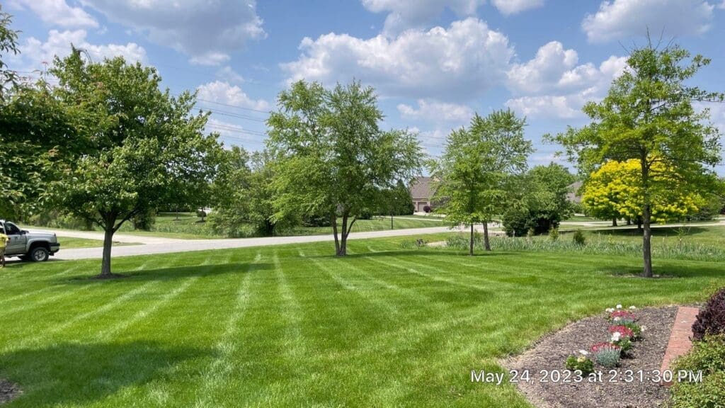 Striped, freshly mowed Fort Wayne lawn with trees, blue sky, and mulched flower bed.
