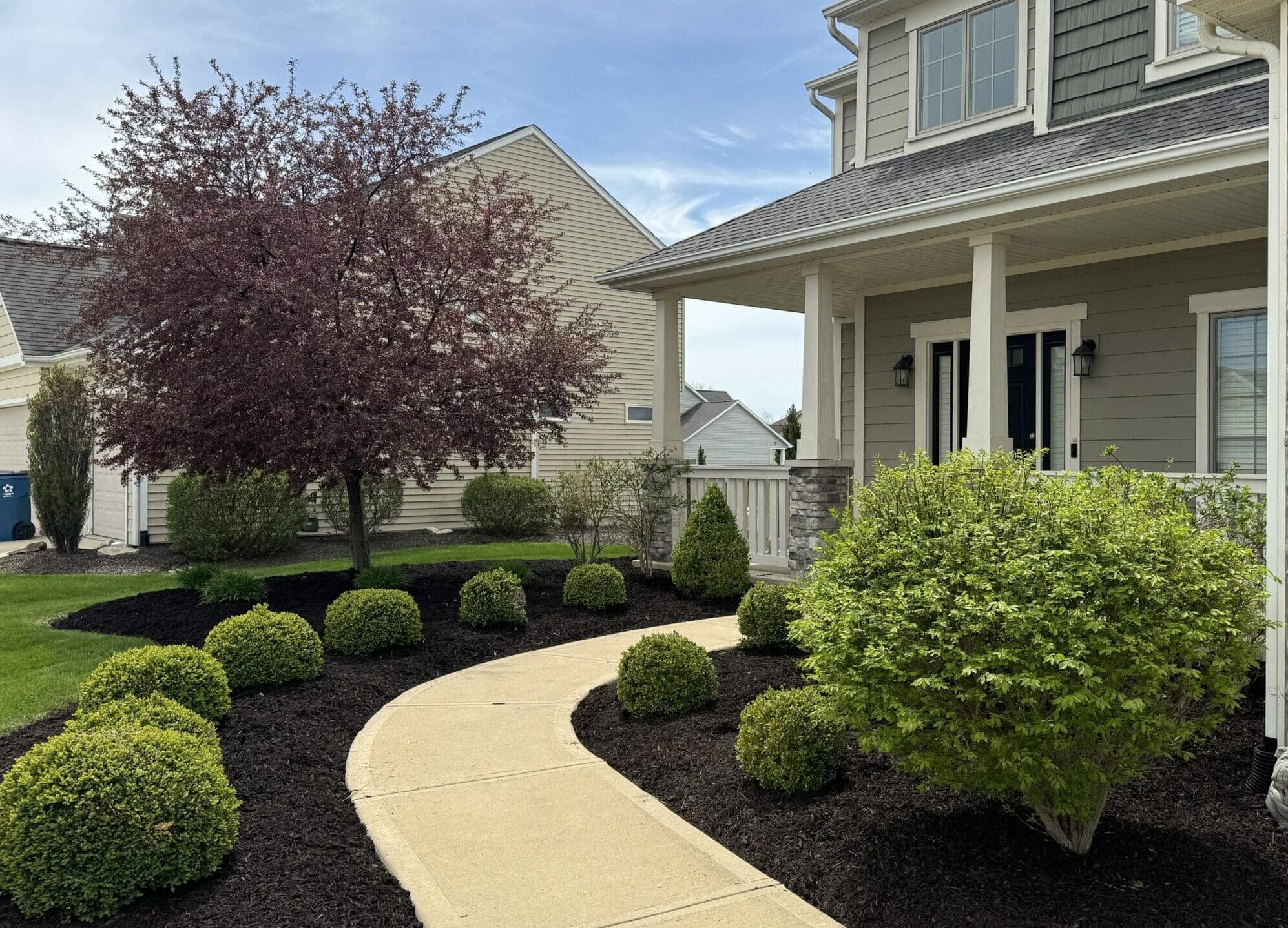 Fresh mulch and boxwood landscaping along walkway at suburban home in Fort Wayne.