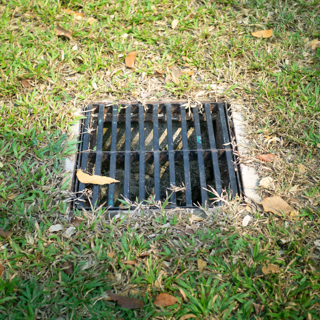 Fort Wayne Square storm drain grate in grass with fallen leaves, outdoor lawn drainage.