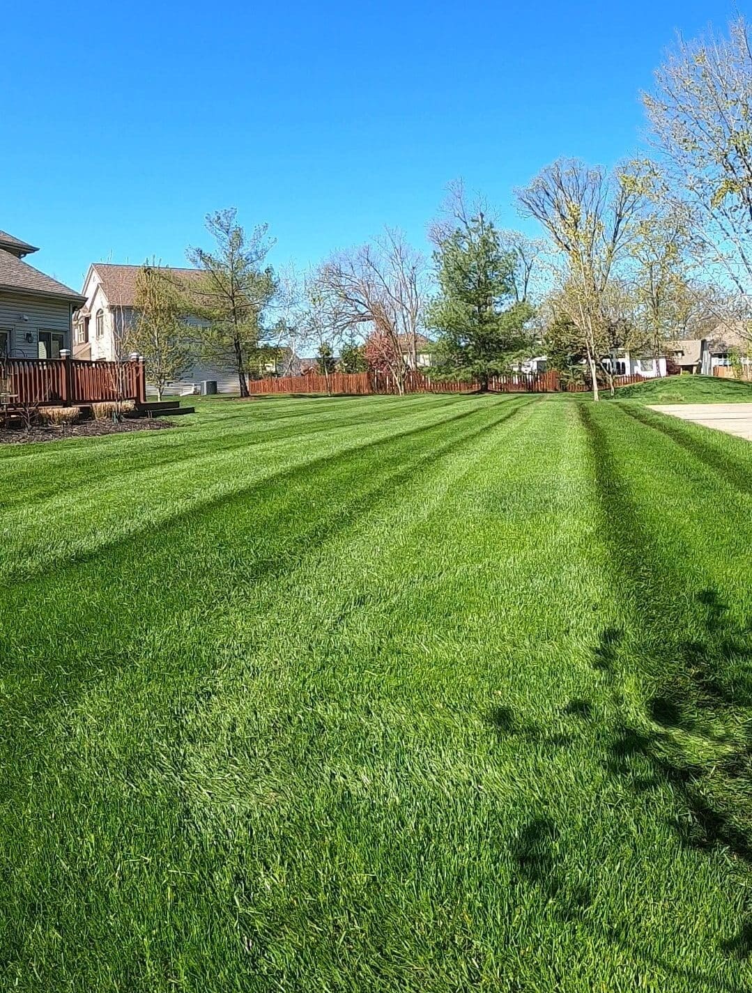 Striped green turf lawn in Fort Wayne neighborhood under clear blue sky.