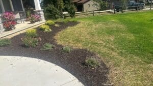 Completed backyard lawn and landscape installation for new construction property