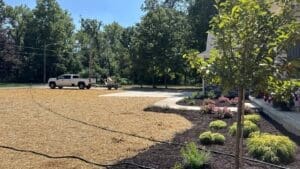 Completed new construction landscape design with fresh lawn and mulch beds
